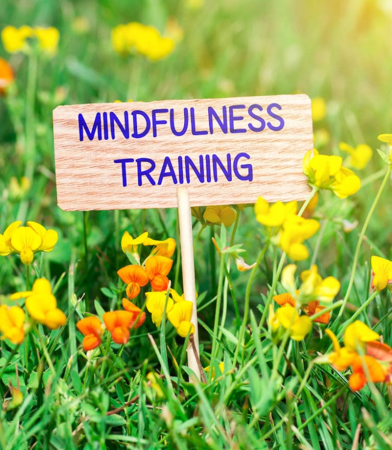 Mindfulness With Your Career Coach - Paul Allen Career Coach